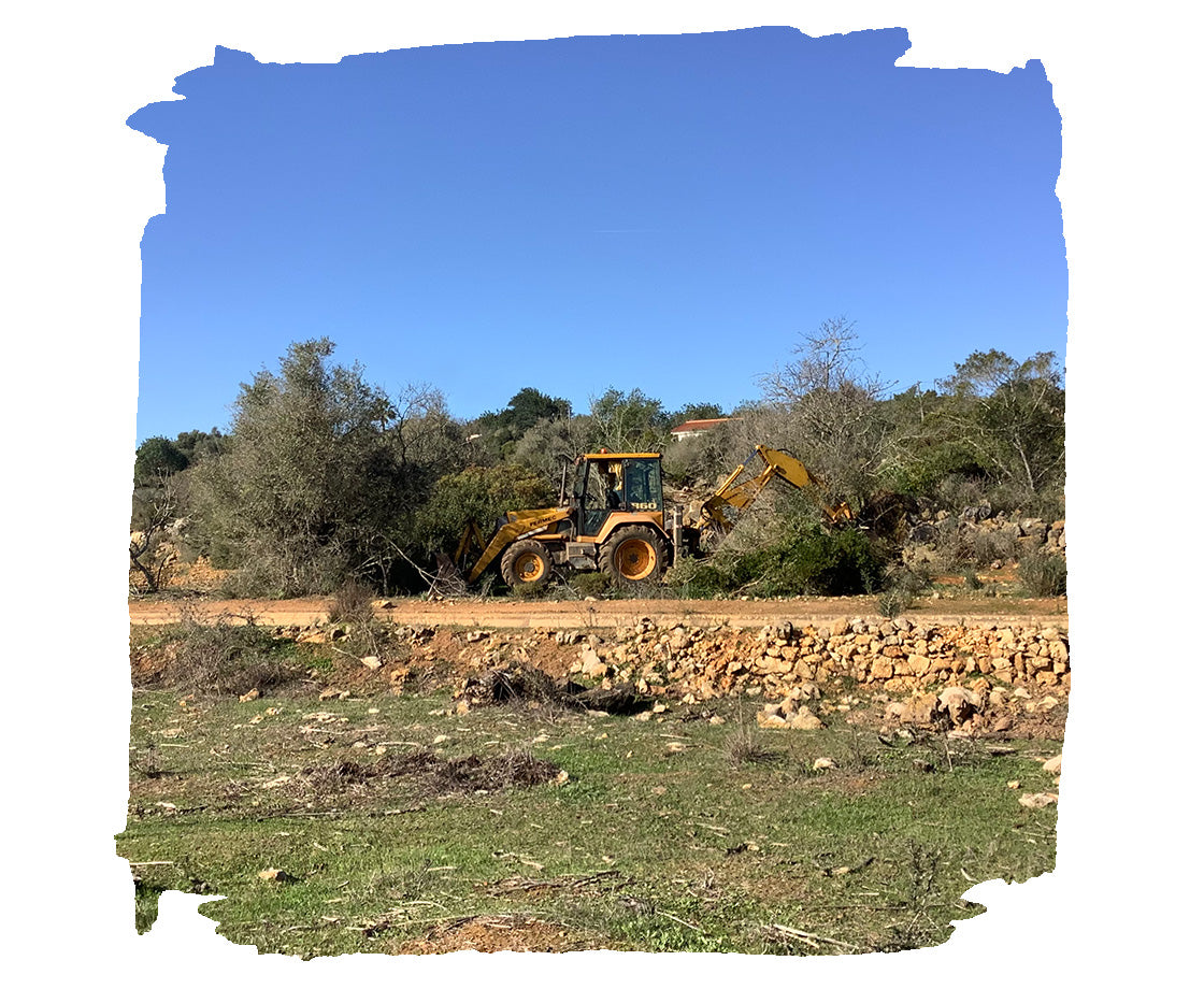 digger working at Sugar Valley Farm Algarve Portugal